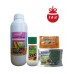 Pachet Pestmaster, Insecticid + Ingrasamant + Raticid